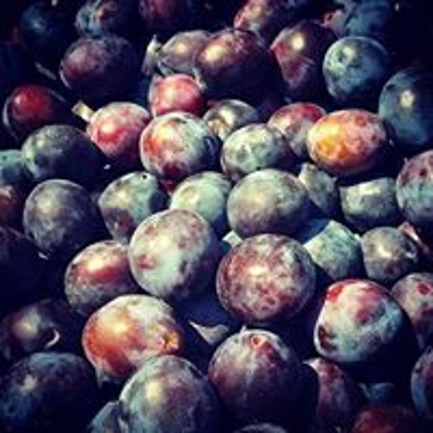 black prunes at 'Gripioti Farm'